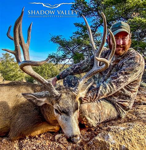 kaibab national forest hunting.
